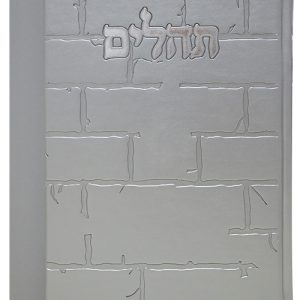 תהלים פיו בינת הלב כותל גדול 17*24