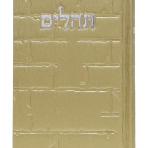 תהלים סקאי בינת הלב כותל 12*8