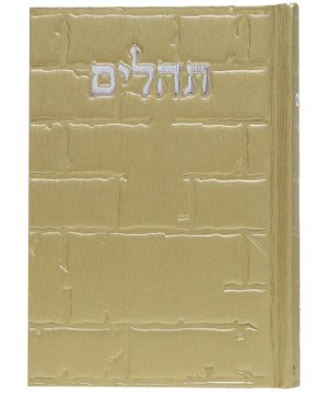 תהילים סקאי בינת הלב כותל 12*8