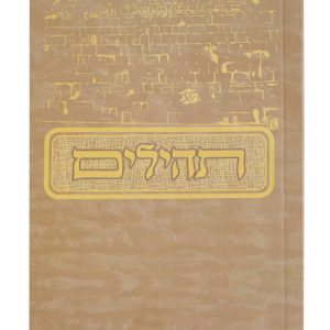 תהלים למינציה כריכה רכה בינת הלב מצויר כותל 10*14