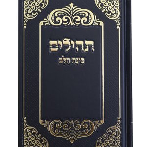 תהלים למינציה בינת הלב עיטורים גדול 14*22