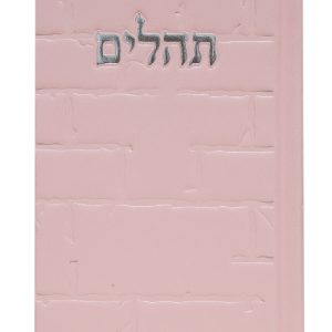 תהלים סקאי בינת הלב כותל 12*8