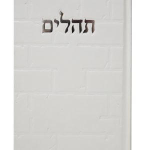 תהלים סקאי בינת הלב כותל 12*17