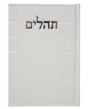 תהילים סקאי בינת הלב כותל 12*17