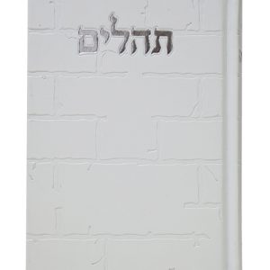 תהלים פיו בינת הלב כותל גדול 17*24