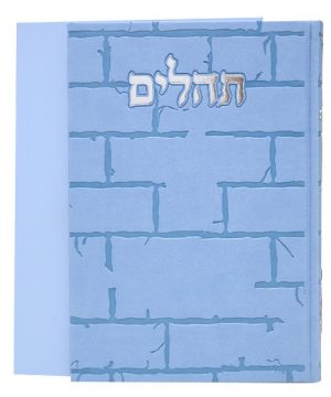 תהילים פיו בינת הלב כותל גדול 17*24