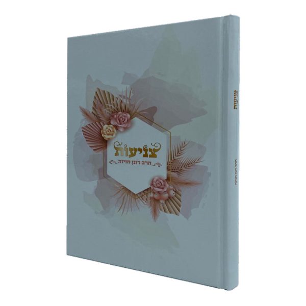 צניעות - הרב רונן חזיזה