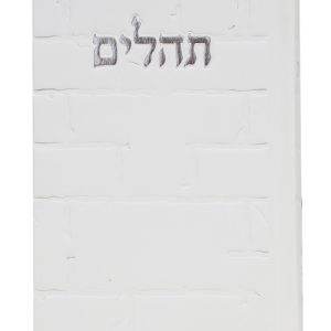 תהלים סקאי בינת הלב כותל 12*8