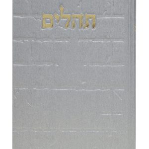 תהלים סקאי בינת הלב כותל 12*8