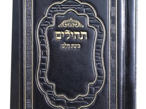 תהילים פיו בינת הלב 8*12