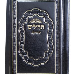 תהלים פיו בינת הלב 8*12