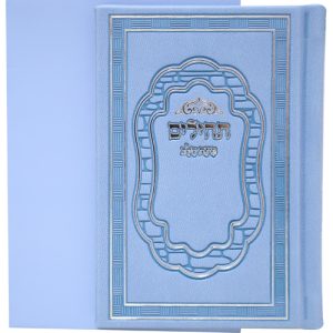 תהלים פיו בינת הלב 8*12