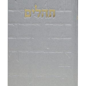 תהלים סקאי בינת הלב כותל 12*17