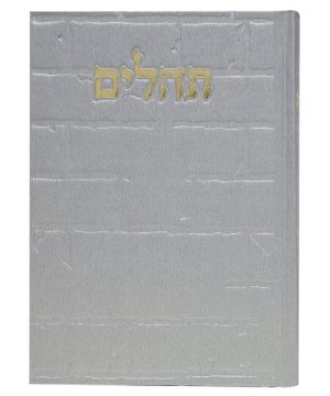 תהילים סקאי בינת הלב כותל 12*17