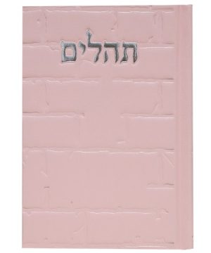 תהילים סקאי בינת הלב כותל 12*17