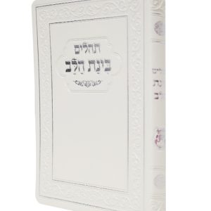 תהלים פלקסי בינת הלב 12*17
