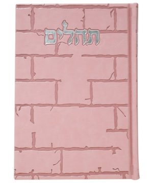 תהילים פיו בינת הלב כותל גדול 17*24