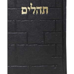 תהלים פיו בינת הלב כותל גדול 17*24