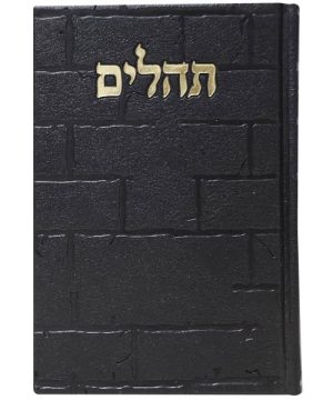 תהילים פיו בינת הלב כותל גדול 17*24