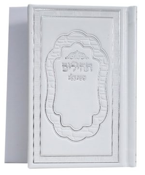 תהילים פיו בינת הלב 8*12