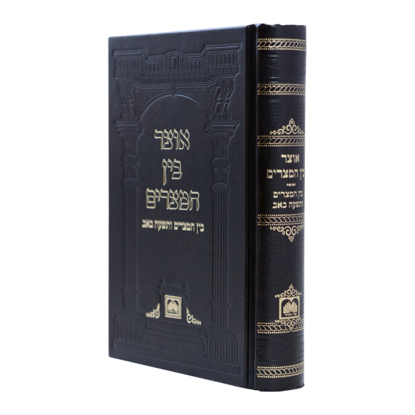 אוצר בין המצרים כריכה קשה  / עוז והדר