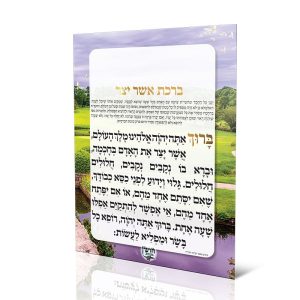 אשר יצר