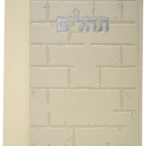 תהלים פיו בינת הלב כותל גדול 17*24