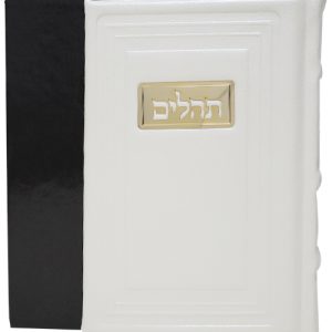 תהלים עור אמיתי 12*17