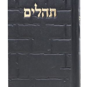 תהלים סקאי בינת הלב כותל 12*8