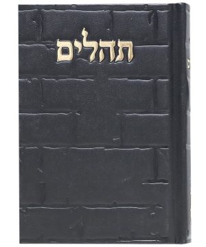 תהילים סקאי בינת הלב כותל 12*8