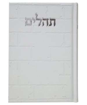 תהילים פיו בינת הלב כותל 12*17