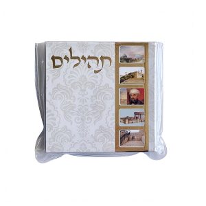 תהילים מיני דגם שברי זהב