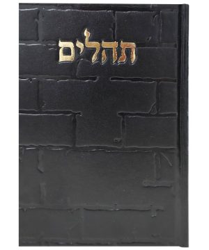 תהילים סקאי בינת הלב כותל 12*17