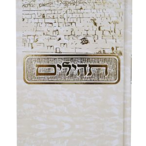 תהלים למינציה בינת הלב מצויר כותל גדול 14*21