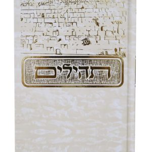תהלים למינציה בינת הלב מצויר כותל 12*8