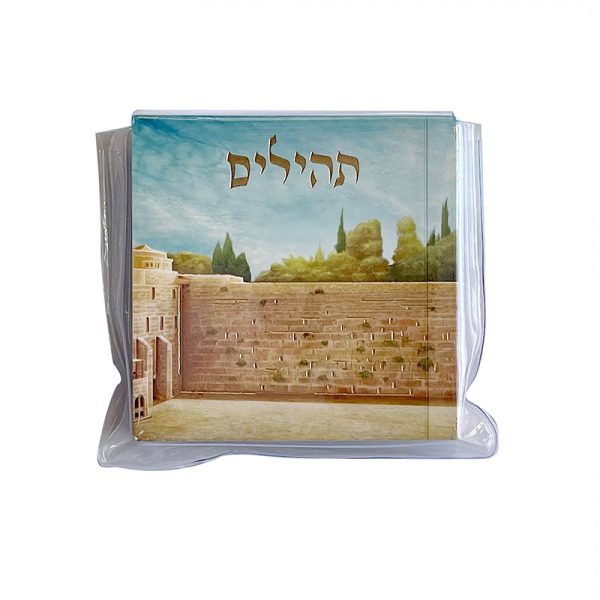 תהילים מיני דגם בבא סאלי