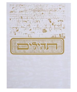 תהילים למינציה כריכה רכה בינת הלב מצויר כותל 10*14