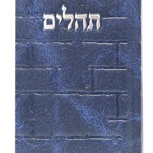 תהלים סקאי בינת הלב כותל 12*8