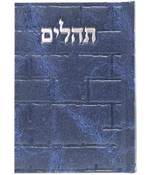 תהילים סקאי בינת הלב כותל 12*8