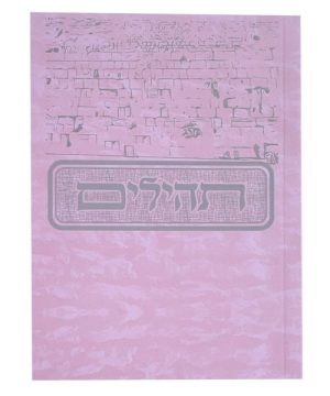 תהילים למינציה כריכה רכה בינת הלב מצויר כותל 10*14