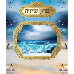 פרק שירה גדול 17*24