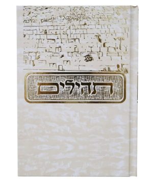 תהילים למינציה בינת הלב מצויר כותל 12*17