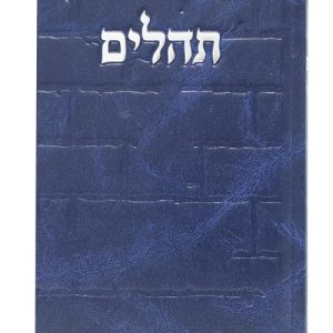 תהלים סקאי בינת הלב כותל 12*17