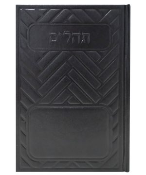 תהילים סקאי בינת הלב קווים 12*17