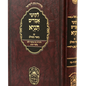 תניא ביאור משולב ג (פרקים יח-כה)