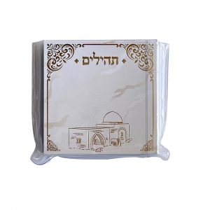 תהילים מיני דגם קבר רחל