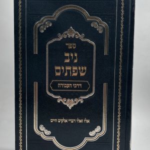 ניב שפתיים - דרכי העבודה