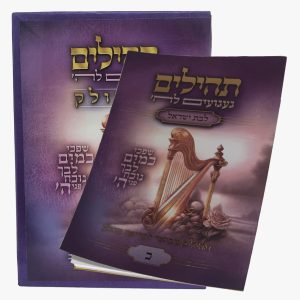 תהילים מחולק געגועים לה' לבת ישראל (כ"ג כרכים)