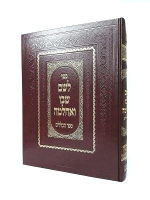 לשם שבו ואחלמה - הכללים