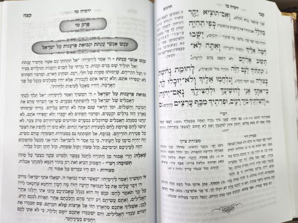 ⁦ספר ירמיהו המפואר והמבואר - נביאים מאירים⁩ – תמונה ⁦4⁩